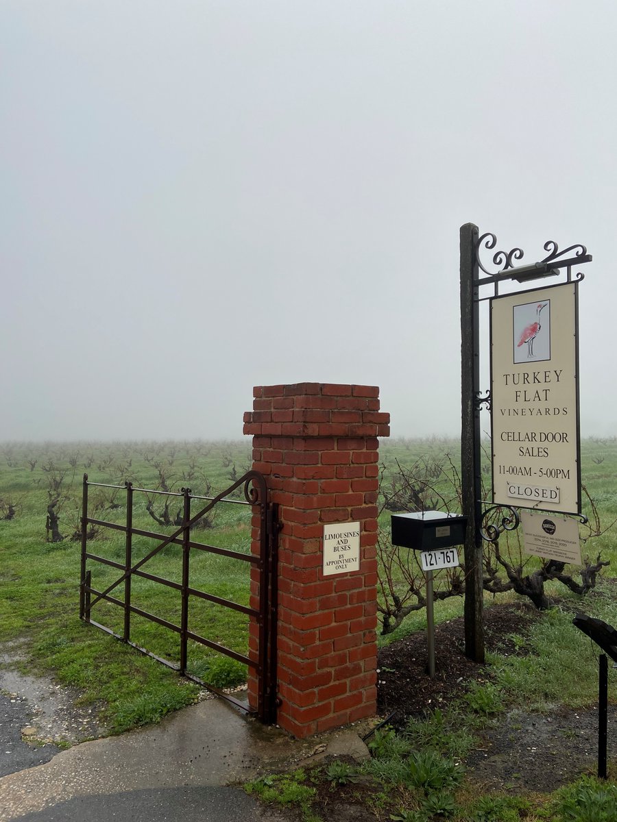 IT's #groundhog day with just a slightly thicker recipe of a #peasouper.  Showery day and 14 degrees in the #barossa today, fire roaring and our #grenache is devine! #wine #southaustralia #barossa #tourism <a href="/FIVEaaBreakfast/">David & Will</a> <a href="/penbo/">David Penberthy</a> <a href="/WGoodings/">William Goodings</a>