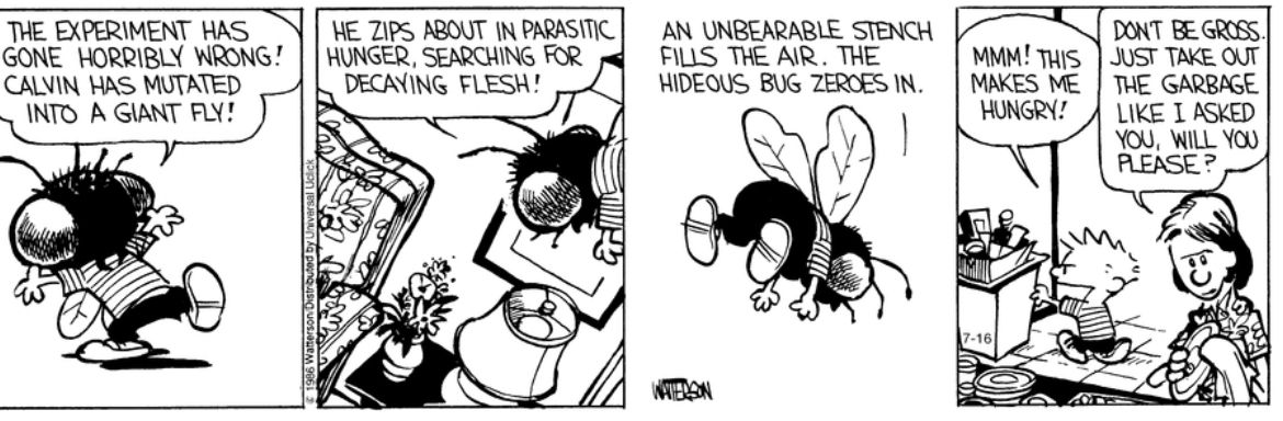 Calvinn_Hobbes's tweet photo. 🤢 #CalvinandHobbes https://t.co/GiU3HGSguU