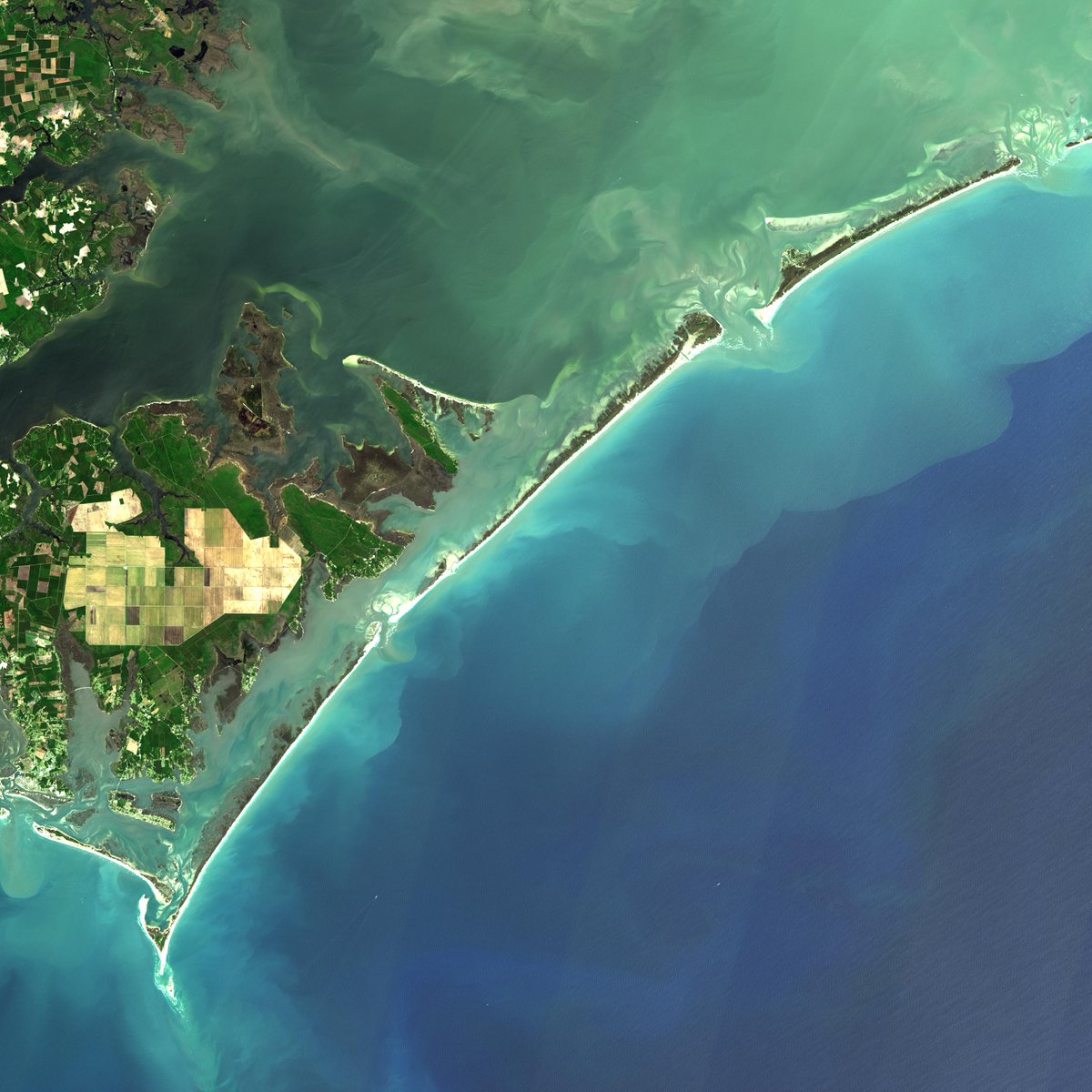 NASA's tweet photo. ☀️ Summer is in full swing! ☀️

To celebrate the launch of @NASAEarth’s Landsat 9 satellite this fall, we worked with Dr. Beach to tour 2021's top U.S. beaches as seen by @NASA_Landsat.

Did your favorite make this list ➡️ https://t.co/Q9T25ZojUI https://t.co/E0c6EO8OtT
