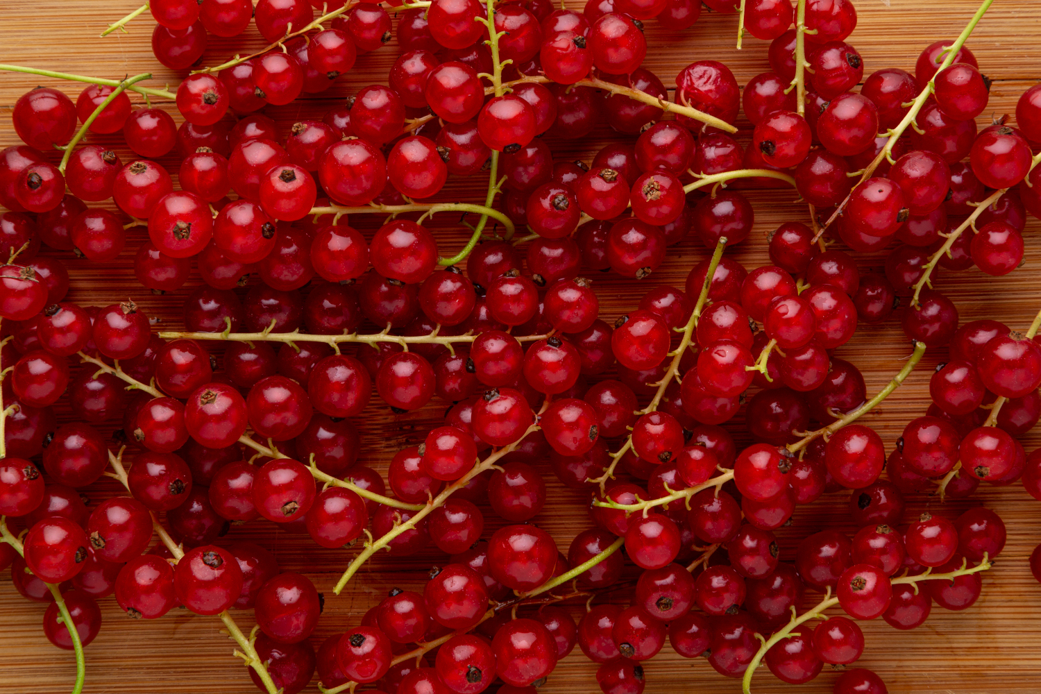 تويتر Masahito Sato على تويتر アカスグリ 英語でレッドカラント Redcurrant カラントのジャム は好きでたまに買うけど 生を見るのは初めて カラントだけだとかなり酸味が強い グラノーラ ヨーグルト 蜂蜜に加えて食べたら美味しかったよ それにしてもこの