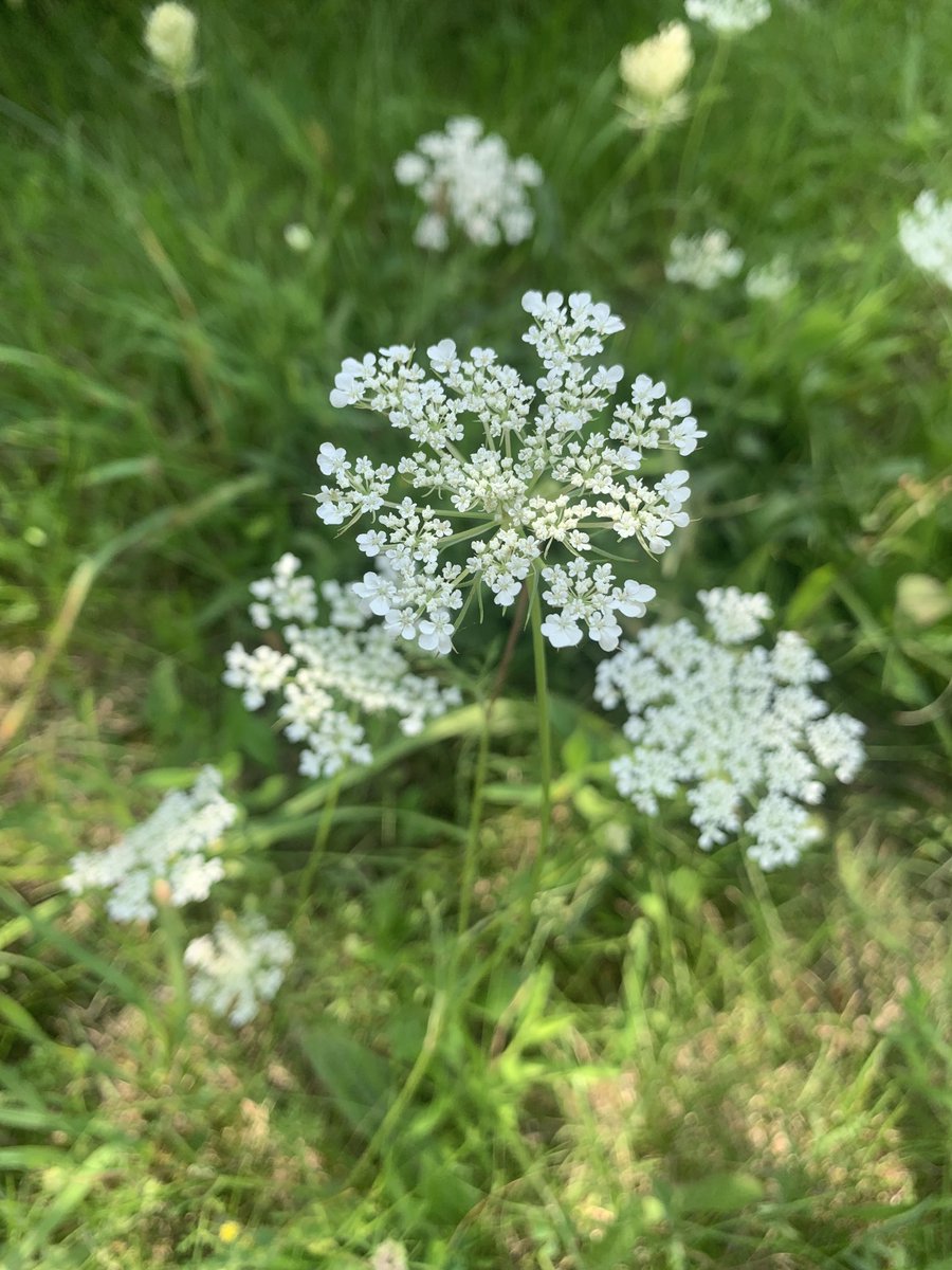 Anniversary Adventure Day
❤️❤️❤️ Exploring a Few Gems in Michigan!