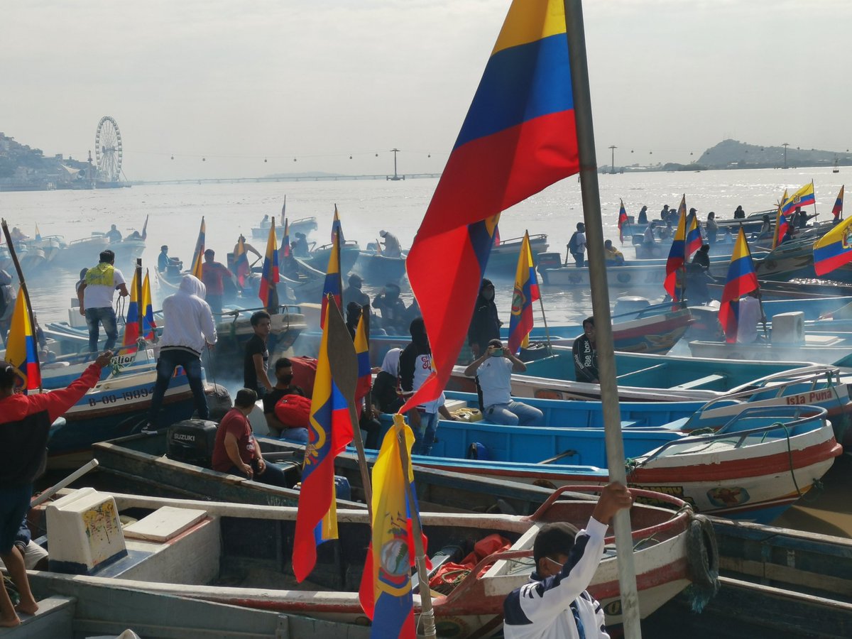 Shellcatch Ecuador tweet media