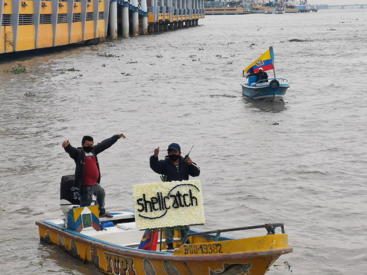 Shellcatch Ecuador tweet media