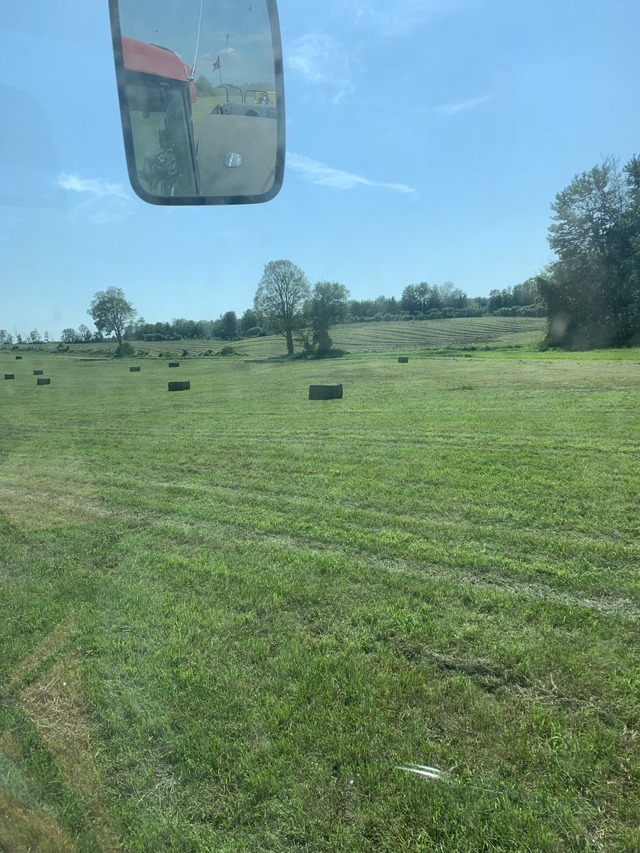 ihboy86's tweet photo. Nice week for 2nd cut! #hay21 #teamdfi #SaudiaWooler #ontag https://t.co/8yDUdkYaSe