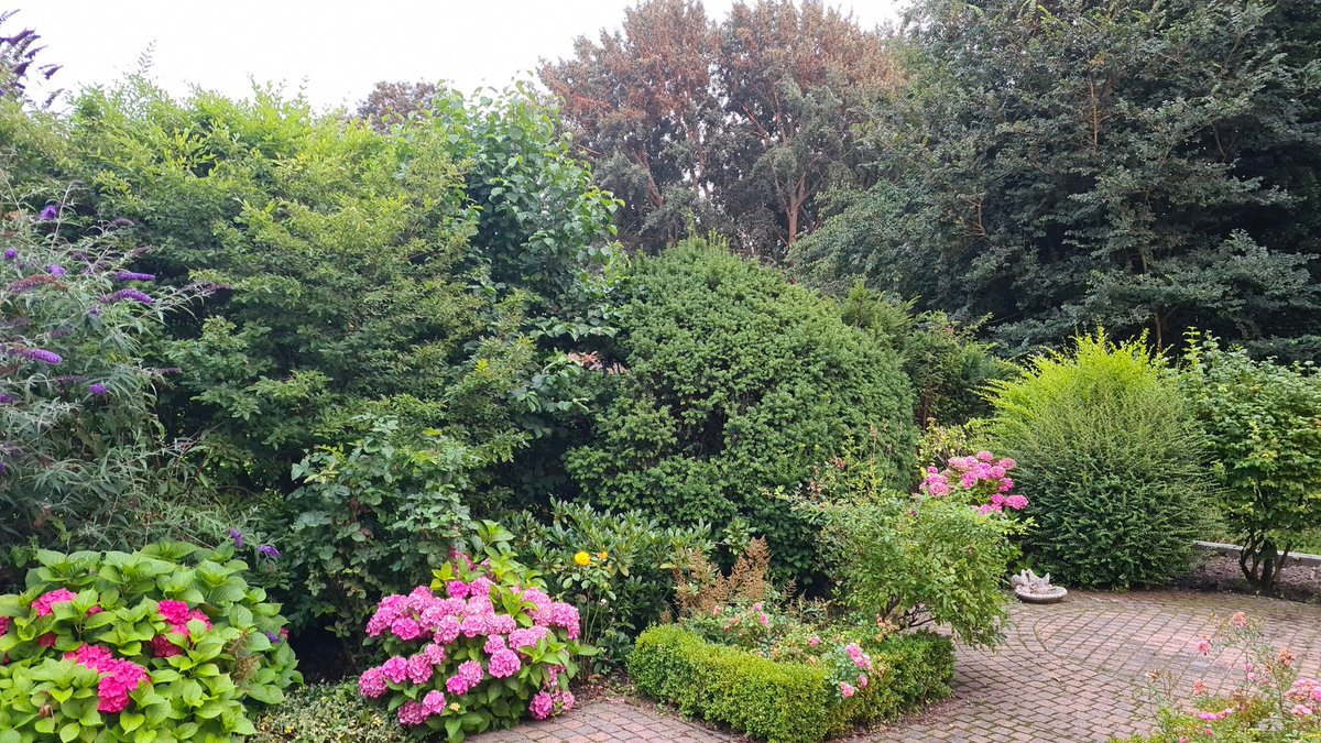 Fritsgrons's tweet photo. Ok even gewoon #beatrixpark @schiedam https://t.co/TSXDqVTqsk