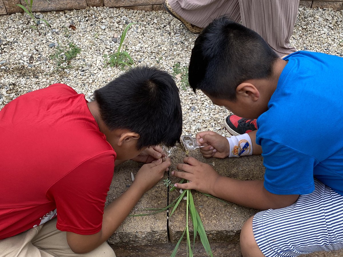 Kristen Wolff tweet media