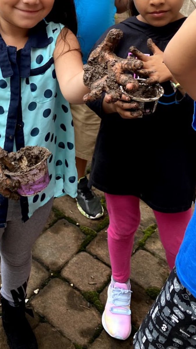 Kristen Wolff tweet media