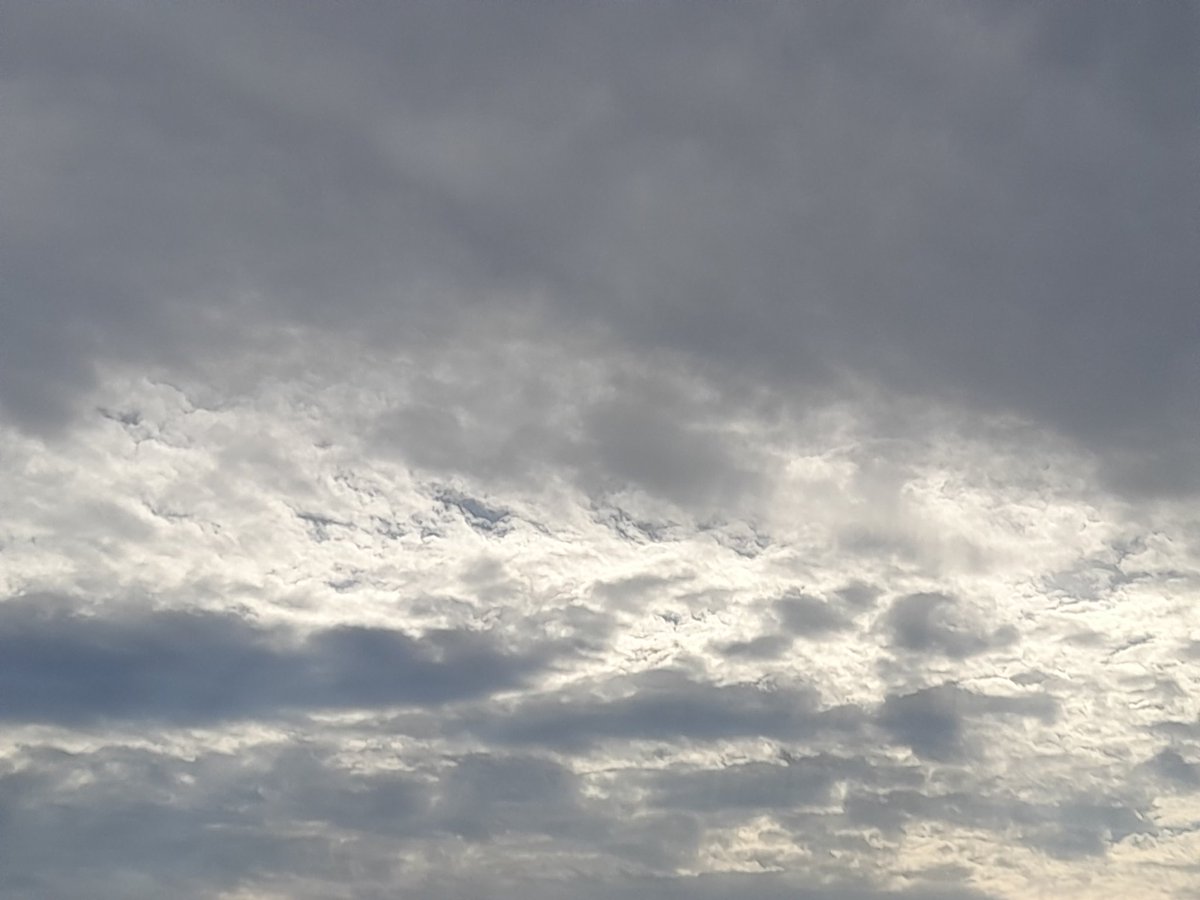 gnome_alice's tweet photo. This evening's walk, mostly #sky again, sorry.
But there's a glimpse of #Kenython and #NoGoBy
And a view of silvery sea and the Melusine on her Brexit-busting commute between Zeebrugge and Cork.
#Lannust
#Kernow
#StJust https://t.co/mFE3NVPt2W