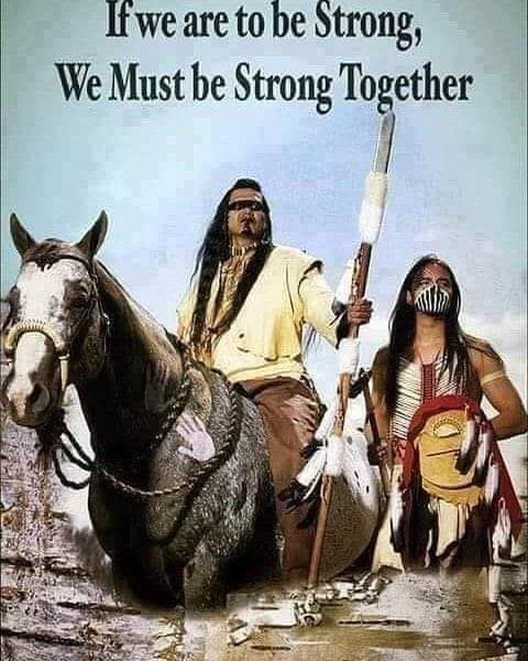 tribalposts's tweet image. #Indigenous #quote #wisdom