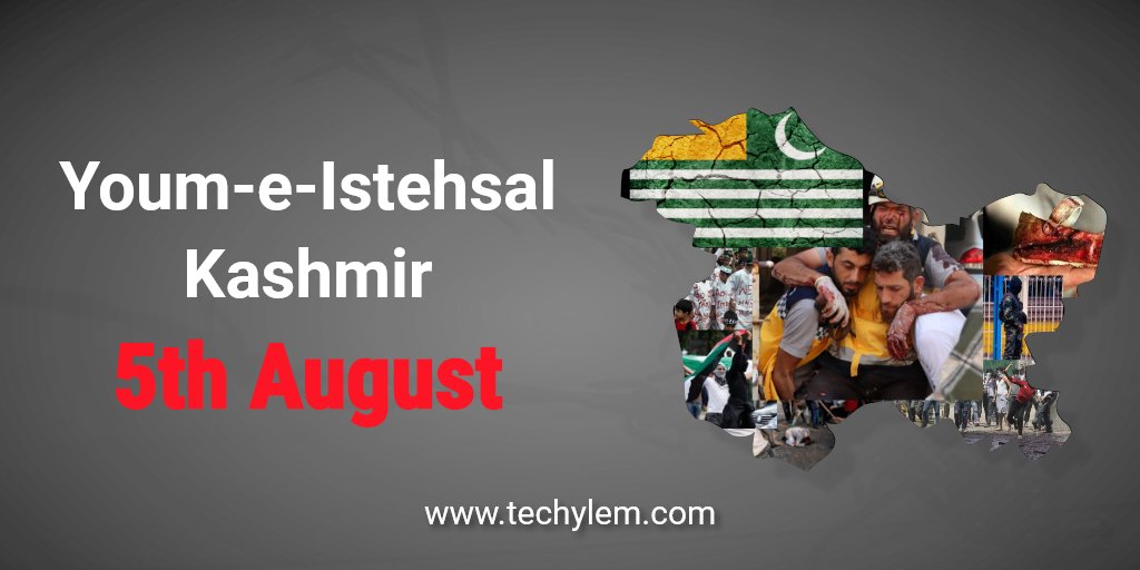 techylem's tweet photo. We stand in solidarity with Kashmiris!

#YoumeIstehsal https://t.co/TH5SpMFSXX
