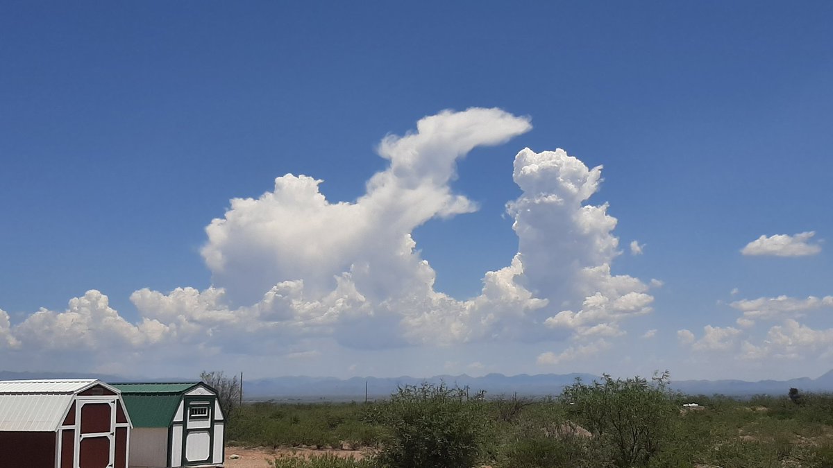 A view at 12:25 of thunderstorms building over the Chiricahua Mountains, Cochise County #azwx