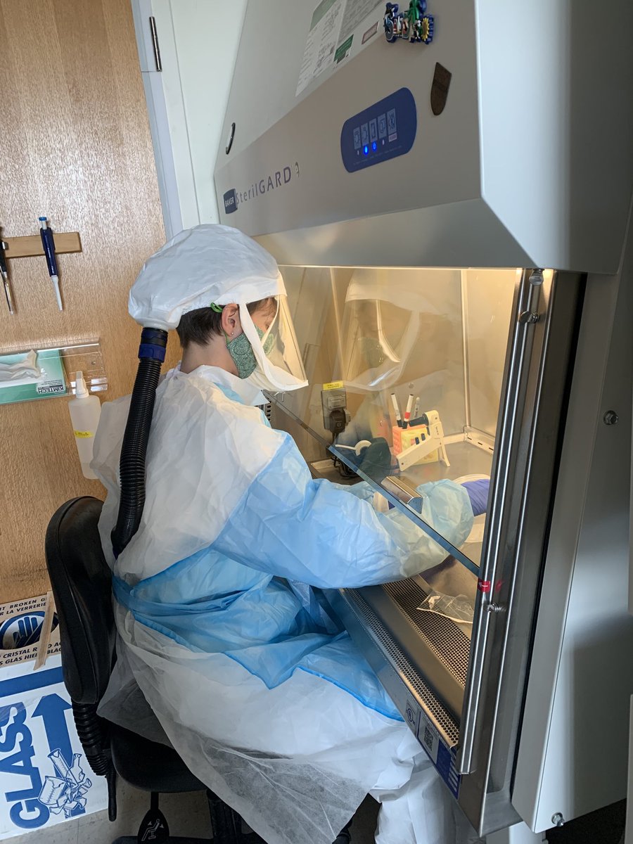 poisondartfrog7's tweet image. Congrats to ⁦@HannahDespres⁩ on passing her phase II qual with flying colors, and becoming the lab’s first official PhD candidate!!