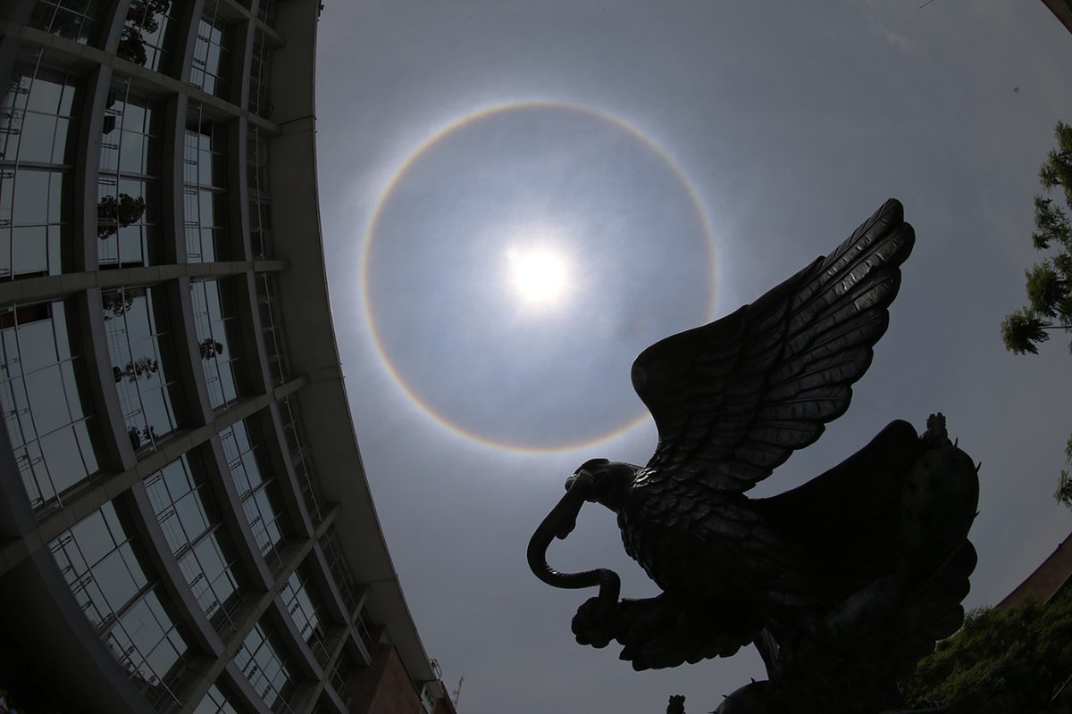 #EnVivo - Reanudación de la Sesión Pública por videoconferencia del <a href="/TEPJF_informa/">TEPJF</a>, 4 de agosto de 2021.

Síguela a través de nuestra cuenta de YouTube:
youtu.be/cmLv0yVQ0Xc