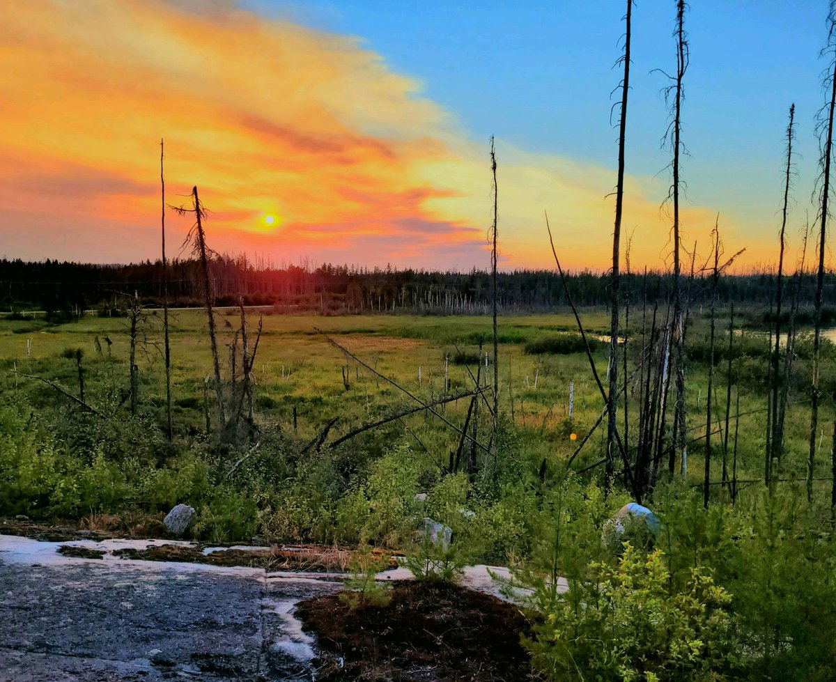 Our camping site! 

#forestfire #smokeysky #beautifulSask #Camping #Saskatchewan #borealforest
