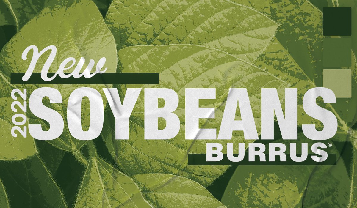 BurrusSeed's tweet photo. Check out our soybean lineup for 2022 planting - https://t.co/V3KbGLRkm3 #BurrusSeed #DONMARIOSeeds https://t.co/CSw3qKixgV