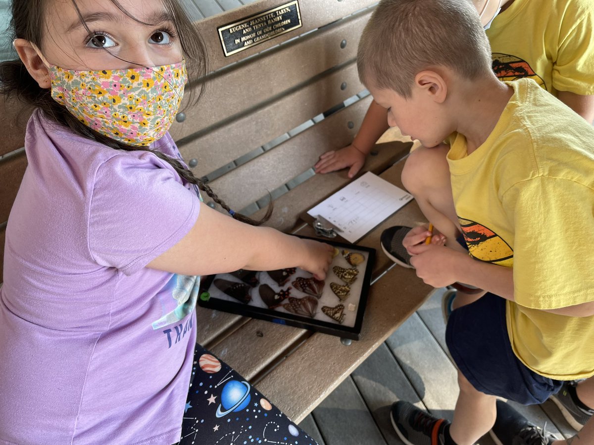 Safari Camp Day 3 - pic of the day! Studying bugs!