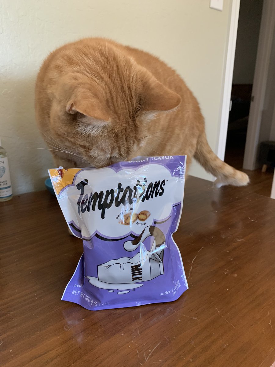 Thank you for bringing the dairy flavor back to the US <a href="/TemptationsCats/">Temptations Cat Treats</a> ! This is the best news I’ve heard for years! #1 cat treat in the world!!!
<a href="/BaseballGuys/">BaseballGuys</a> #CatsOfTwitter #cats #CatsOnTwitter
