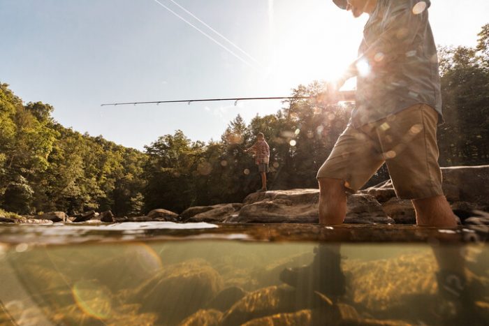 JimTuell's tweet photo. Check out the @wvdnr new website - #Hunt #Fish #Hike #Bike #GetOutside in #AlmostHeaven #WestVirginia - #YesWV https://t.co/0PPIFvtwNK https://t.co/EAeeB4ah1h