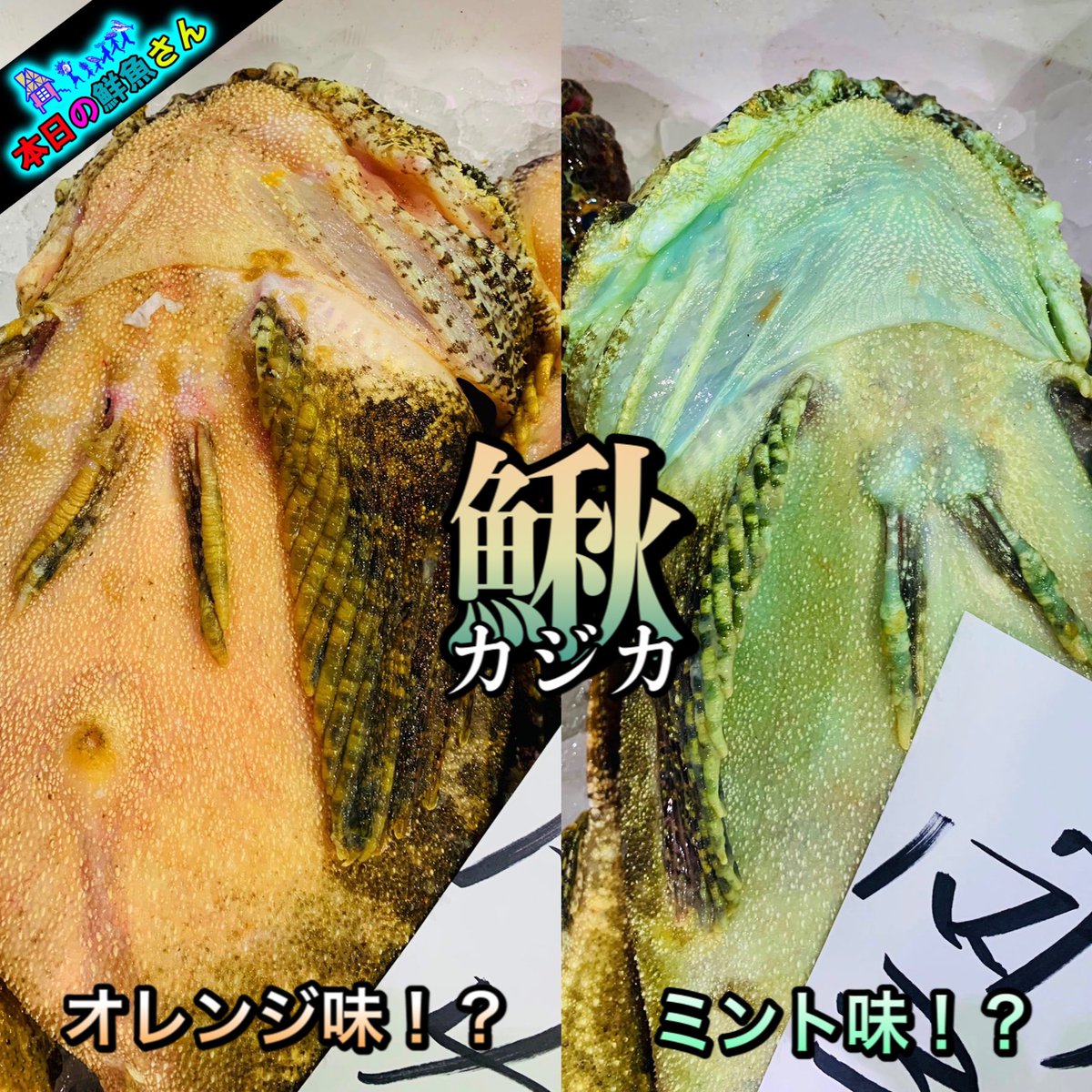 鰍 鰍