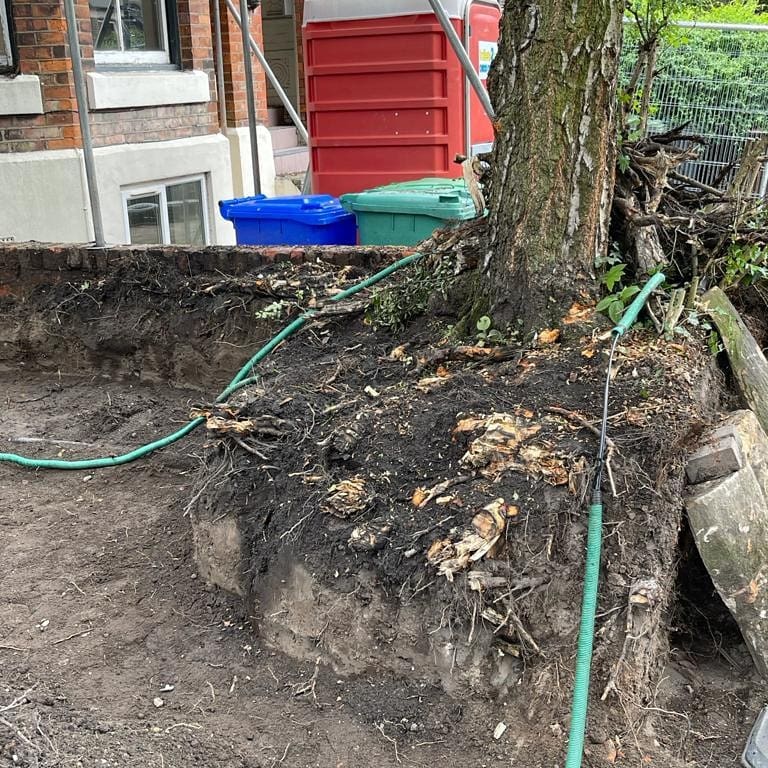 Tree_Surgeon_NW's tweet photo. Tree and stump removal in Didsbury #treestumpremoval #manchester #didsbury https://t.co/Sh1lKuwkOc