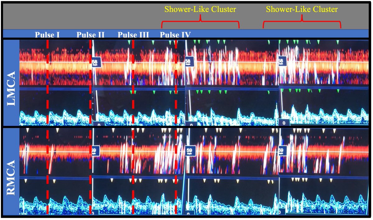 Jon Waldstreicher tweet media