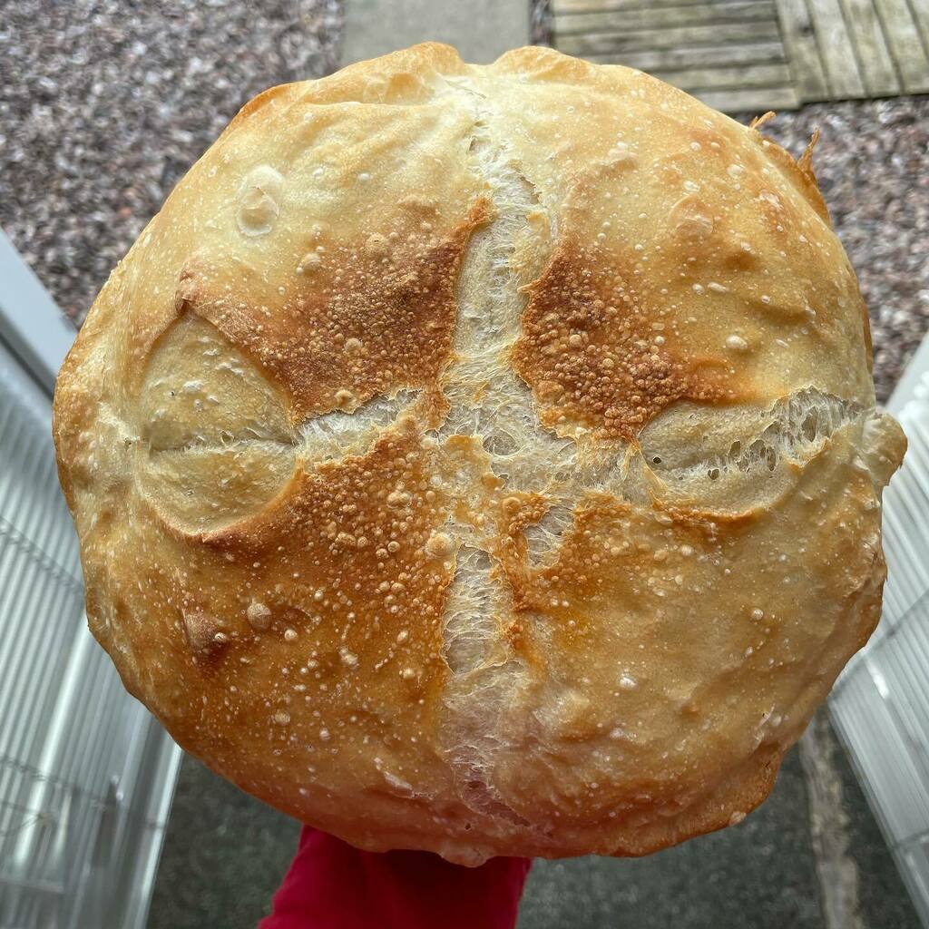 MattyBBakes's tweet photo. This weeks bread game - gotta love the sourdough action. Tried it in a pot this time and this beast was born! 👏🏻❤️👍 #loaf #sourdough #sourdoughbread #gayboy #gaycouple #gayblogger #blog #blogger #bloggers #liverpool #liverpoolbloggers #liverpoolblogg… https://t.co/v106OhJ901 https://t.co/WuboCIv2fH
