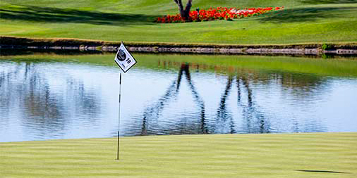 ewinggolfguy's tweet image. Check out the latest Ewing Golf Newsletter with great news and tips to help you succeed!!

em.ewingirrigation.com/public/viewmes…