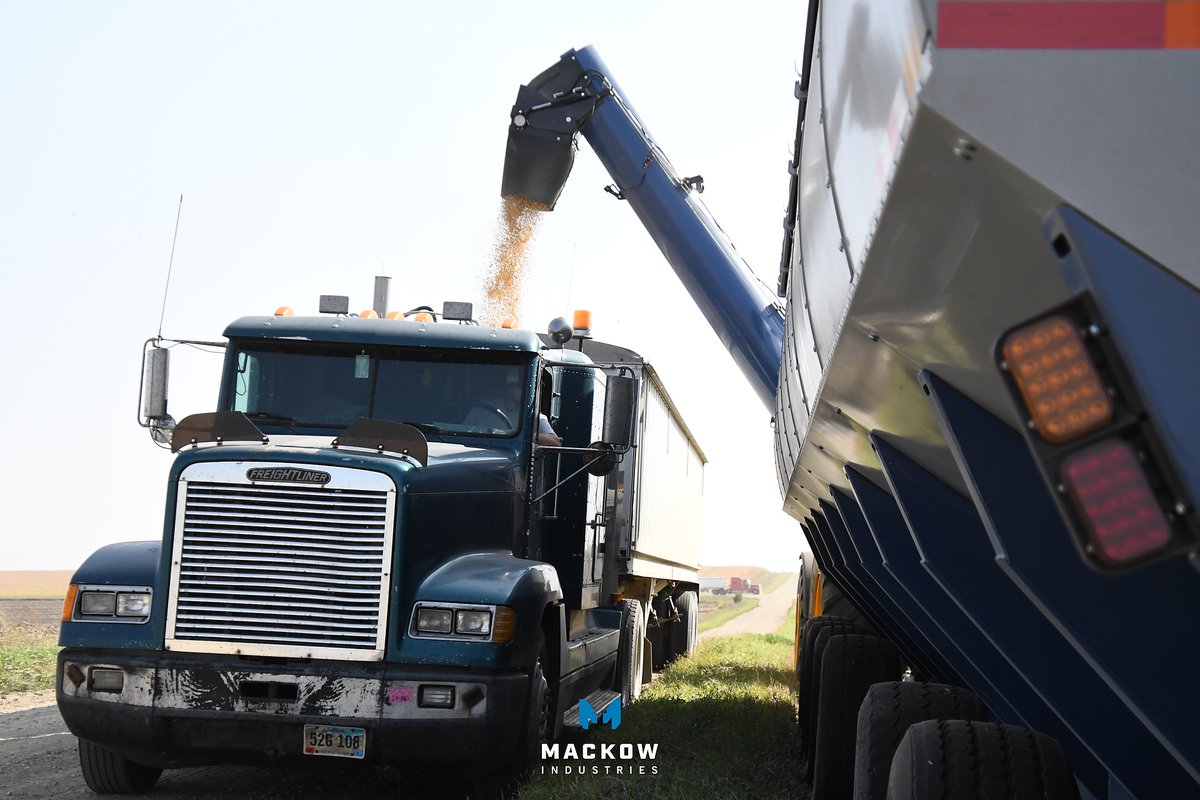 MackowInds's tweet image. Get a glimpse at this behemoth of a grain harvesting solution from our friends at @motherbin1! When in operation, the Walkabout Mother Bin allows the combine to run continuously, eliminating the need to stop and unload.

#keepthecombinerunning #agriculture #farming #harvest #farm