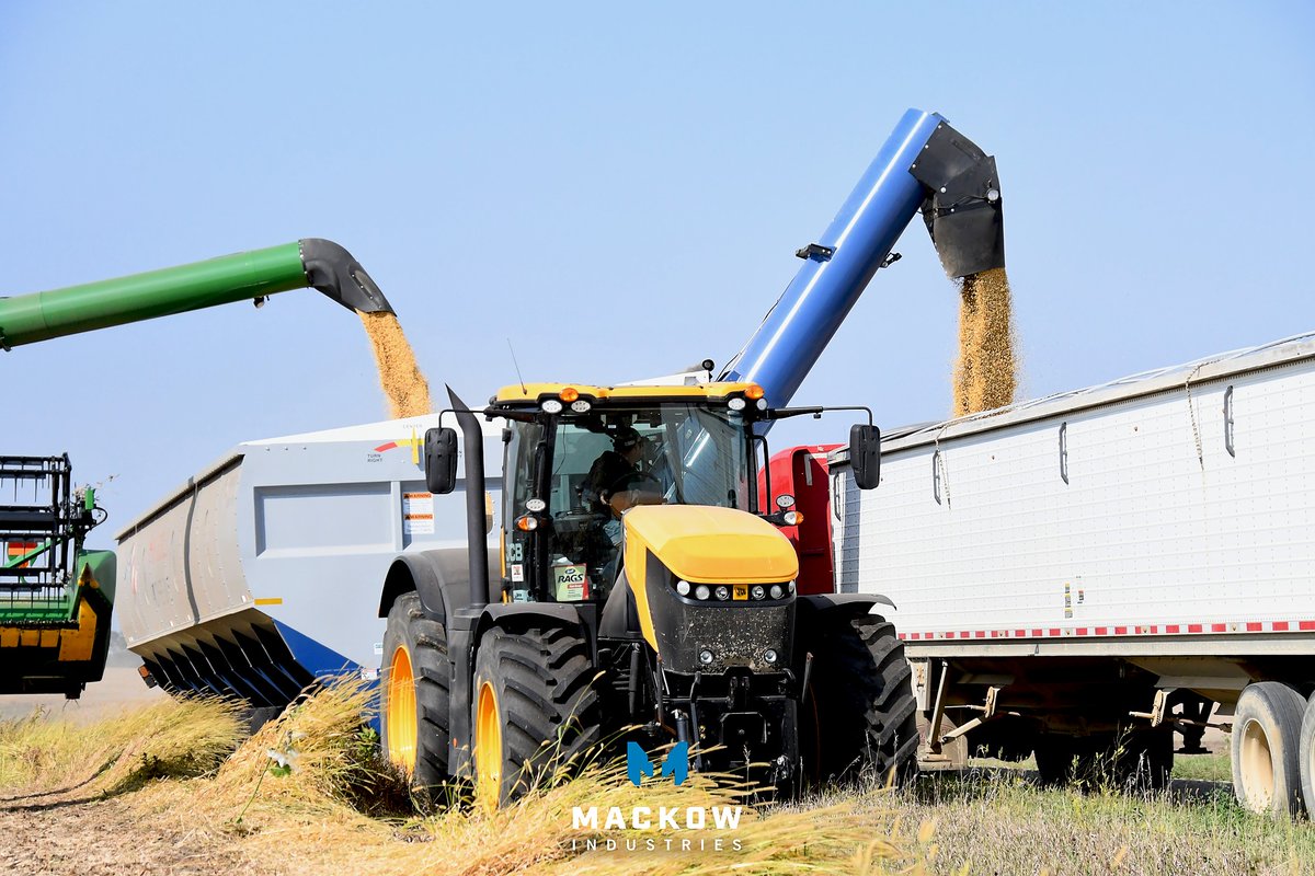 MackowInds's tweet image. Get a glimpse at this behemoth of a grain harvesting solution from our friends at @motherbin1! When in operation, the Walkabout Mother Bin allows the combine to run continuously, eliminating the need to stop and unload.

#keepthecombinerunning #agriculture #farming #harvest #farm