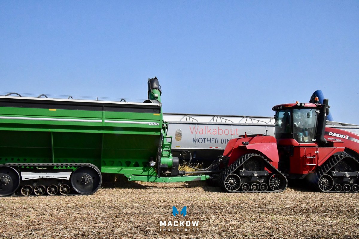 MackowInds's tweet image. Get a glimpse at this behemoth of a grain harvesting solution from our friends at @motherbin1! When in operation, the Walkabout Mother Bin allows the combine to run continuously, eliminating the need to stop and unload.

#keepthecombinerunning #agriculture #farming #harvest #farm