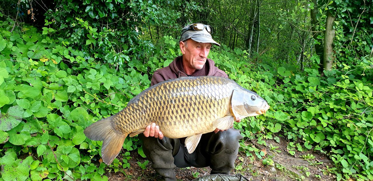 Paul Forward    MR F tweet media