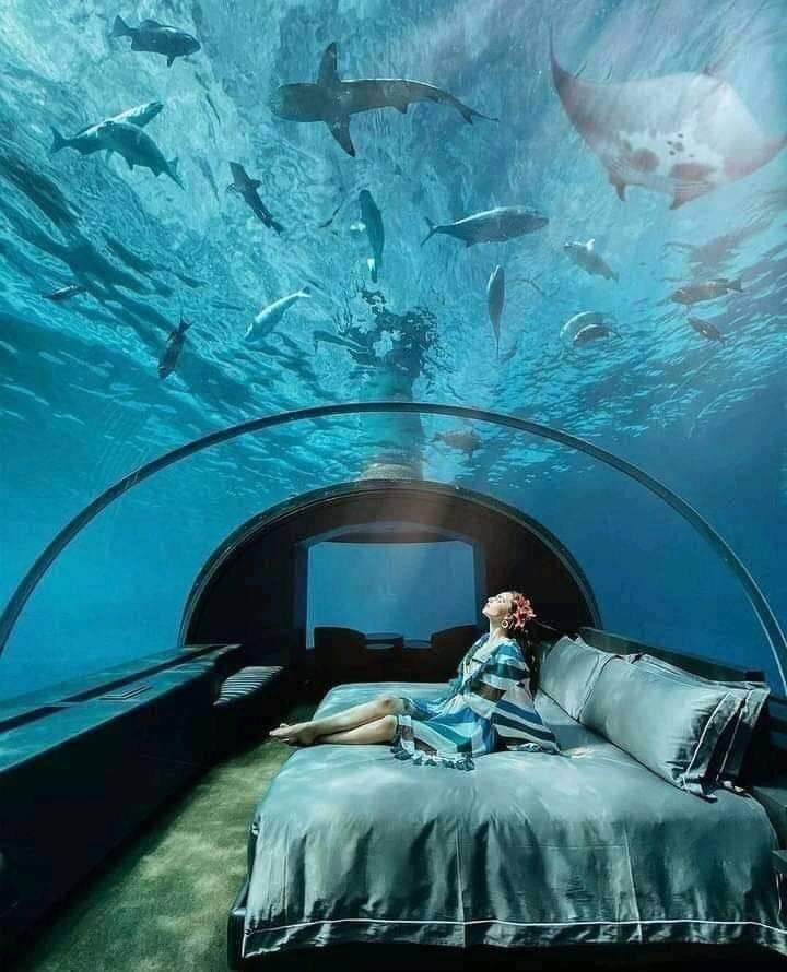 The ultimate in chilling, underwater hotel in the Maldives! #wellbeing #headspace