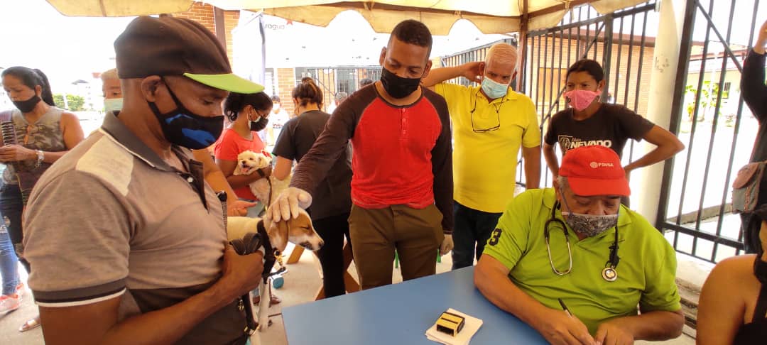 Gracias al Gob. <a href="/R_MarcoTorres/">Rodolfo Marco Torres</a> la Misión @NevadoAragua visitó Guasimal parroquia Joaquín Crespo donde brindó atención de calidad,llena de amor y ética a 367 mascotas comunitarias y con hogar  que recibieron atención Veterinaria,Vacunación, y medicinas gratis. ¡Un Solo Gobierno!