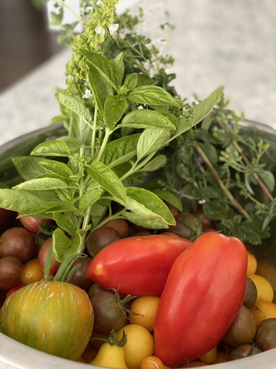Love having a fresh produce aisle right out my back door this time of year! What’s your favorite #Tomatoes to grow in your #garden? #bbq #healthyeating