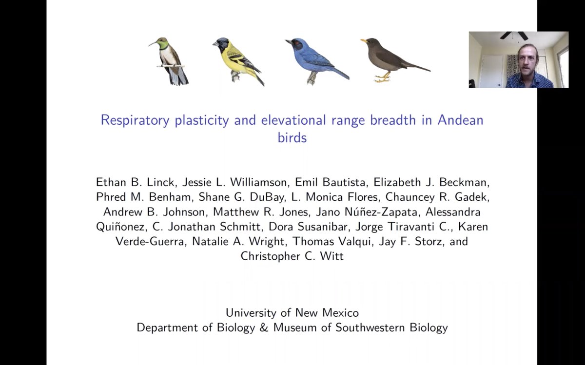 ethanblinck's tweet image. talking about phenotypic plasticity, blood traits, and elevational ranges in Andean birds at #2021AOS_SCO next week! Thursday PM, 1421 hrs EDT. (in fact, just come for @BenGFreeman1&apos;s whole damn symposium)