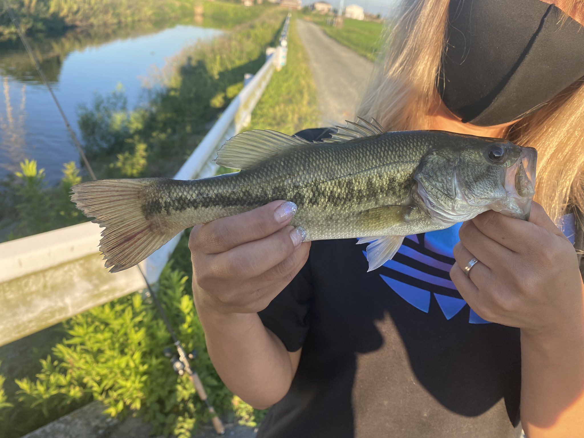 福岡県バス釣り Twitter Search Twitter