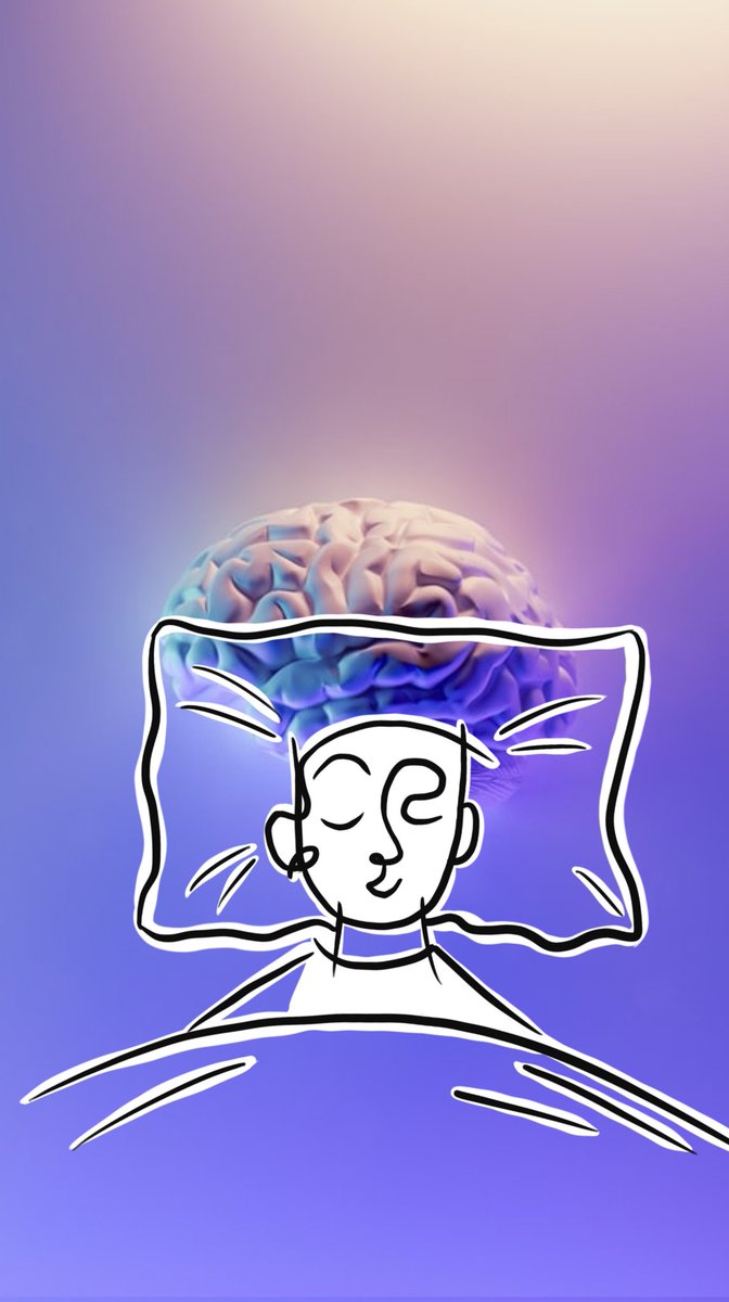 TheAlexfromMars's tweet photo. How does the brain behave during sleep?
It restores our body's efficiency.  Hmmm... it turns out that sleep is some kind of body maintenance. So our brain is always active.
#Sleeping #Dreamers #dreamfanart https://t.co/gdILaJwhk2