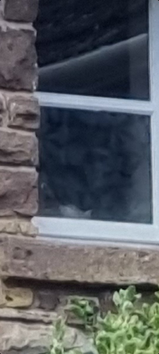 SwiftyGaming5's tweet photo. @GhostAdventures This has really spooked me. I took a picture of a nice house in Wales UK only to later discover something rather creepy 😳  Thoughts on what you see would be amazing https://t.co/ARjhCMNitQ
