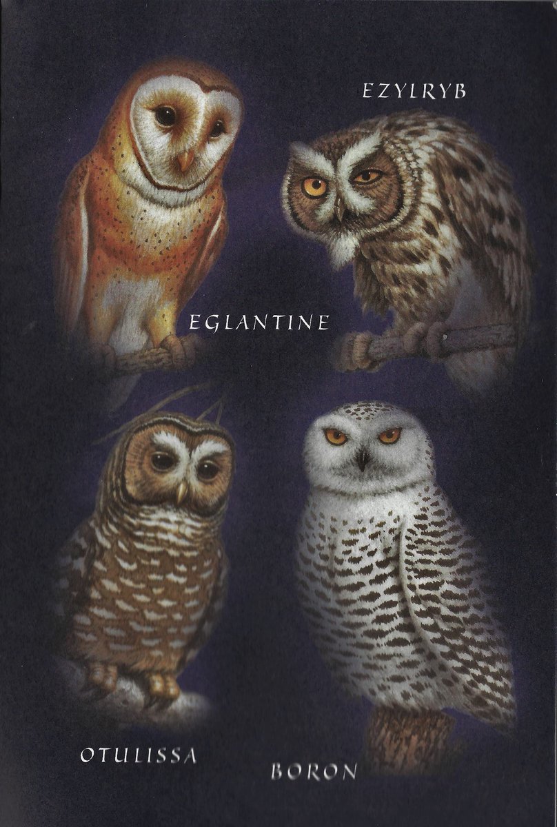 Richard Cowdrey's Guardians of Ga'hoole series illustrations. 🦉 extremely formative bird nerd art 