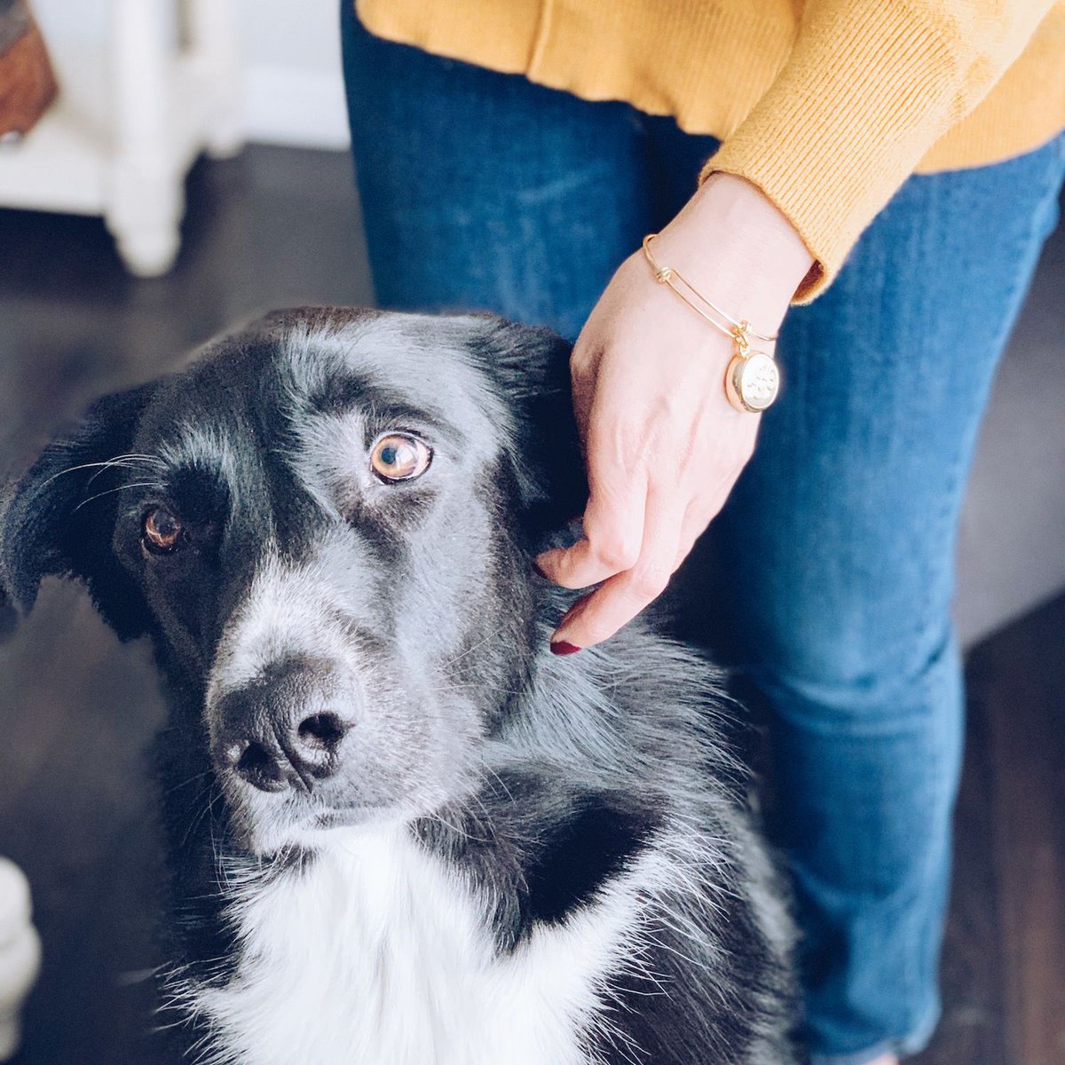 "I love how you wouldn’t be able to tell this is a life saving device. It’s so beautiful &amp; I hardly even notice I’m wearing it! I feel more comfortable to go walk my dog at night, knowing I’m wearing this amazing bracelet, that could potentially help save my life." - Deanna
