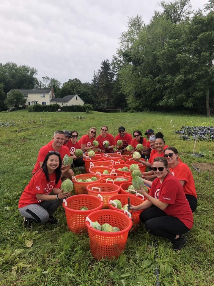 DavePFromTarget's tweet image. What an awesome day volunteering at the @CHPINC Community Harvest Project in North Grafton, MA!!!  We harvested produce that will reach the local food pantry to provide fresh and healthy food options to those who need it most!!

 #community #volunteering #target #farm