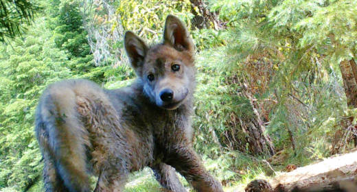 Kate Dylewsky Kdylewsky Twitter