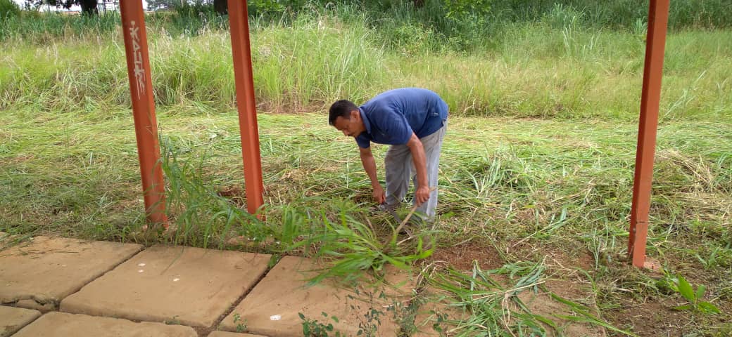 FbnbtBarinas's tweet photo. La #GMBNBT en el estado #Barinas durante la  jornada de  rehabilitación de la  Universidad Nacional  Experimental "Ezequiel Zamora" en realizó trabajos de desmalezamiento, poda de árboles y recolección de desechos vegetales. https://t.co/UqmrGHraqE