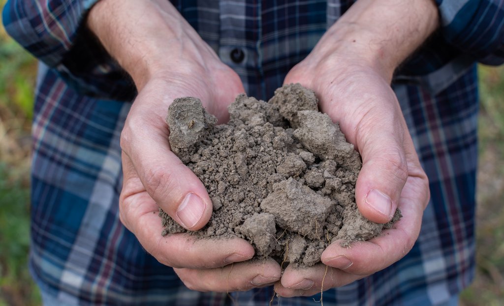 Take back control of your soil health before regulations dry them out! 
#soilhealth #regenerativeag #agtech #nzfarming 
buff.ly/3A6PSLh