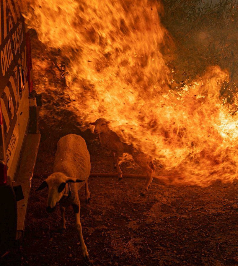 Nazım Hikmet'in "Sen yanmasan, ben yanmasam, biz yanmasak. Nasıl cıkar karanlıklar aydınlıga.." diye bahsettigi siz olmamalıydınız. Bu ülkede, yanması gerekenler yanmadıgı sürec cıkmicak karanlıklar aydınlıga falan.
#patlama