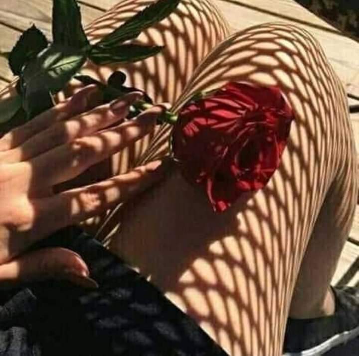 brendaduarte25's tweet photo. 🥀 https://t.co/2dFf6saRGz