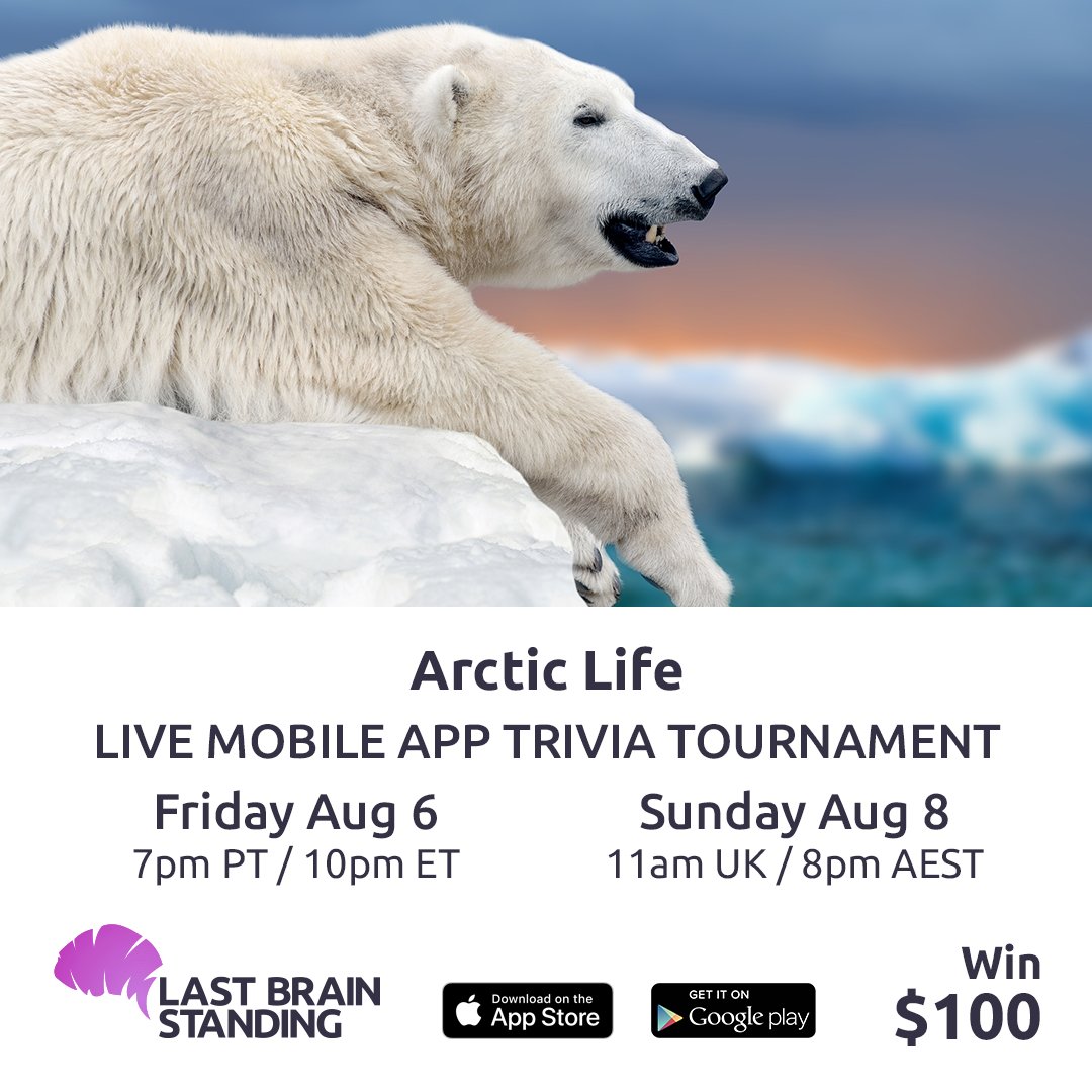 Last Brain Standing tweet media