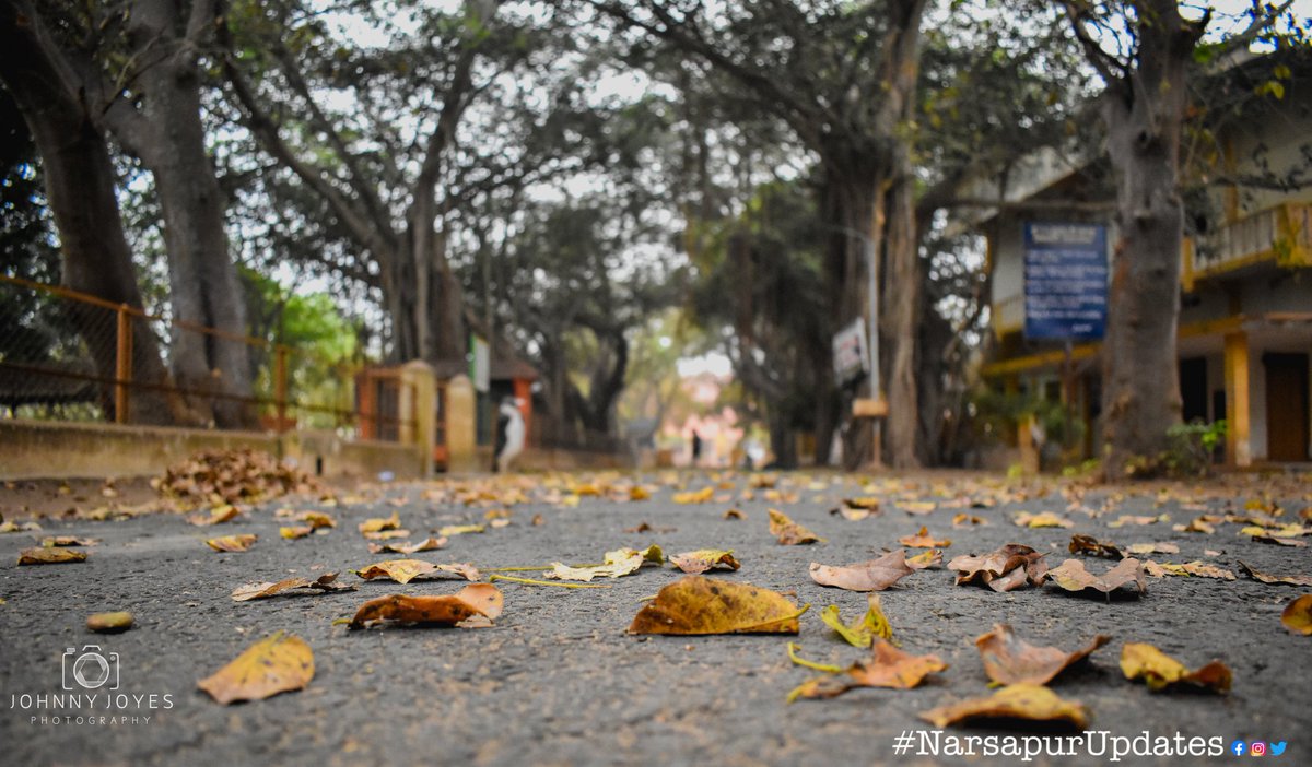 Narsapurupdates's tweet photo. Y N College 🧡

Picture : @camerafanboy 

#NarsapurUpdates #Narsapuram #westgodavari #AndhraPradesh #yncollegecornercontest 
#yncollege #collegelife #collage #collegedays #incredibleindia #studentlife 
#naturephotography #orange https://t.co/cx81KrHPuk