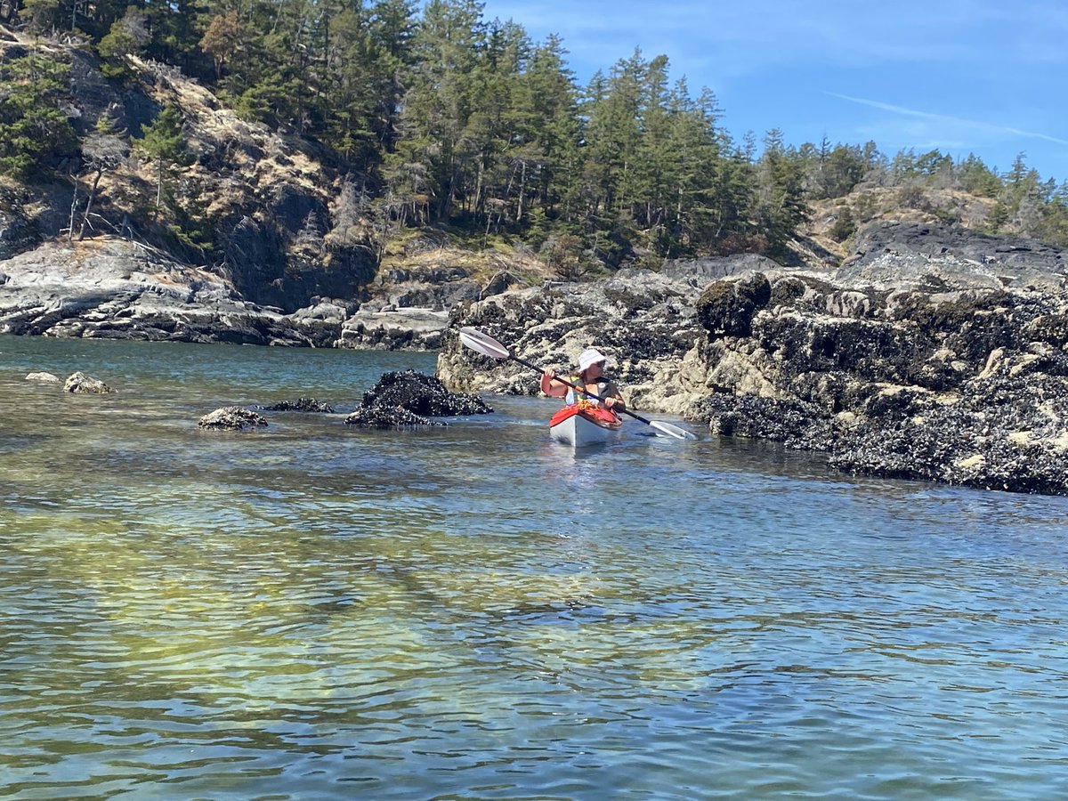 SEL (Social Emotional Landscapes)