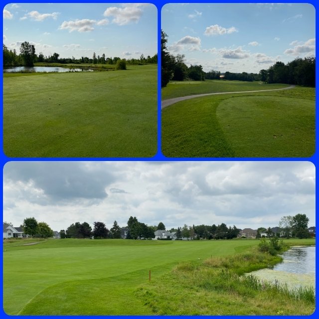 RocciGolf's tweet photo. @LoyalistGolfCC is in amazing shape. Can't wait for the CCs next weekend. 

#golfinaugust 
#clubchampionships 
#greenskybluegrass
#teeithighletitfly
#cantwaittoplay 
#golfincanada https://t.co/C4esn9oR7j